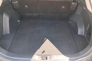 RAV4BackOpen